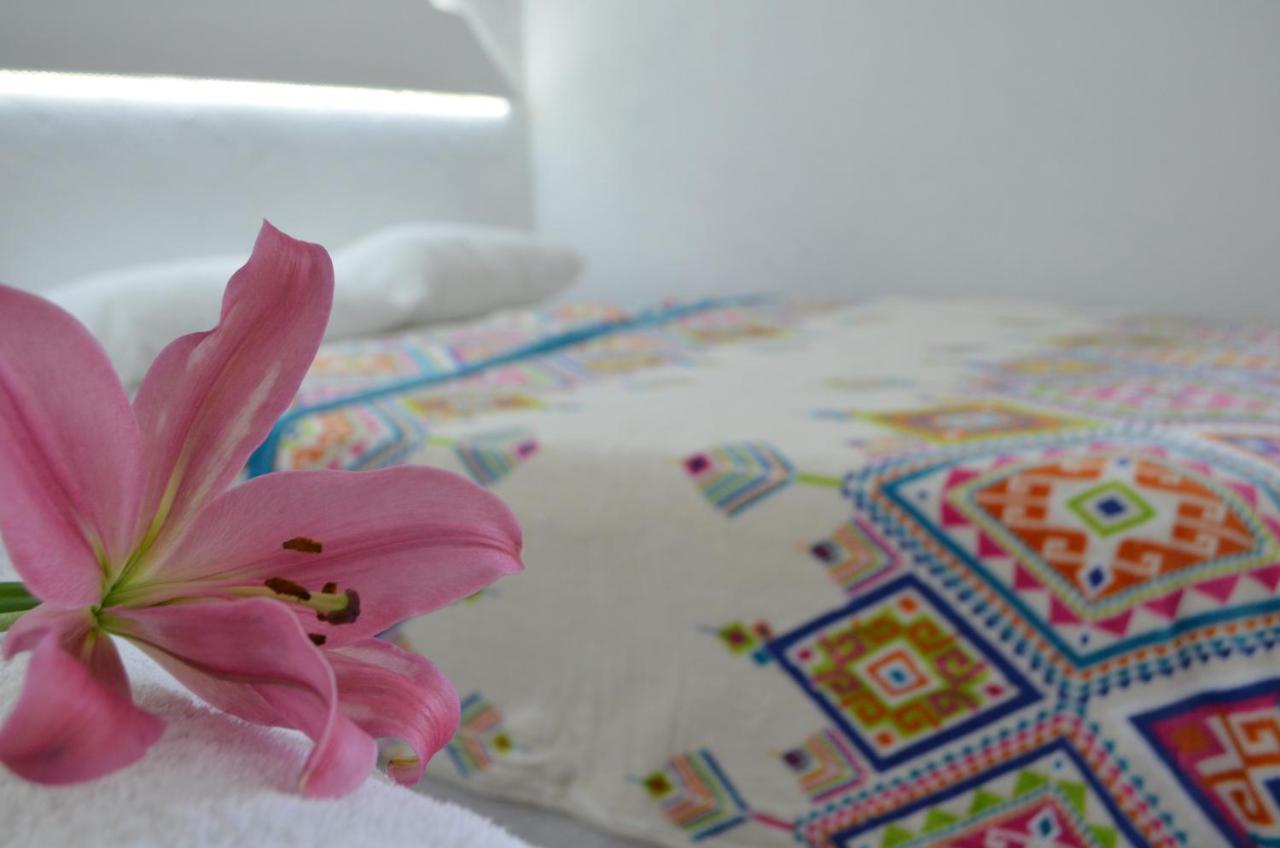 Hotel Vicalis San Juan Teotihuacán Екстериор снимка